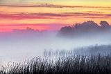 Misty Rideau Canal Sunrise_34722-5
